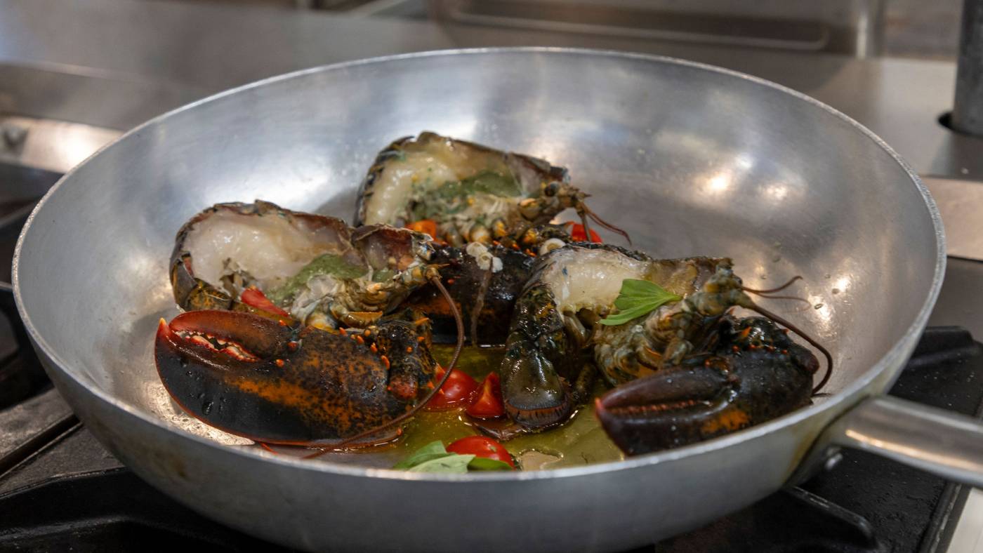 ristorante-pizzeria-da-rosa-specialita-astice-blu